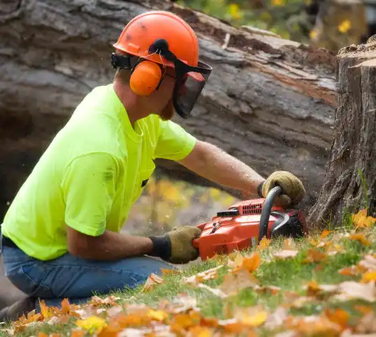 tree services Hatley